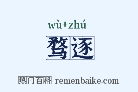 骛逐是什么意思的图片